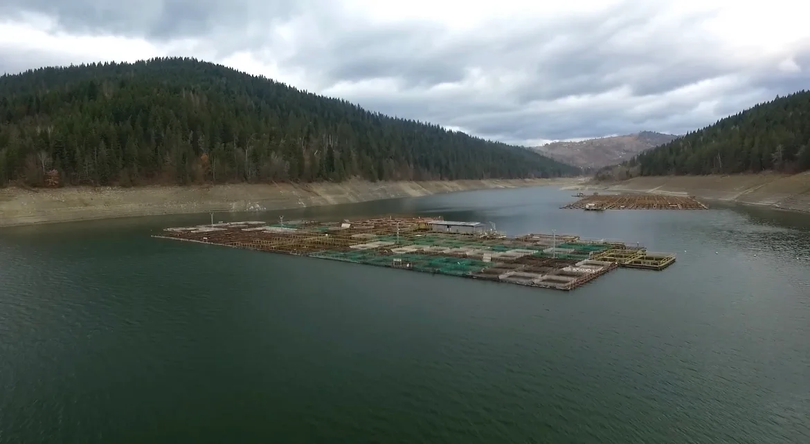 Sturgeon farm showing how monitoring technology integrates with real farming operations